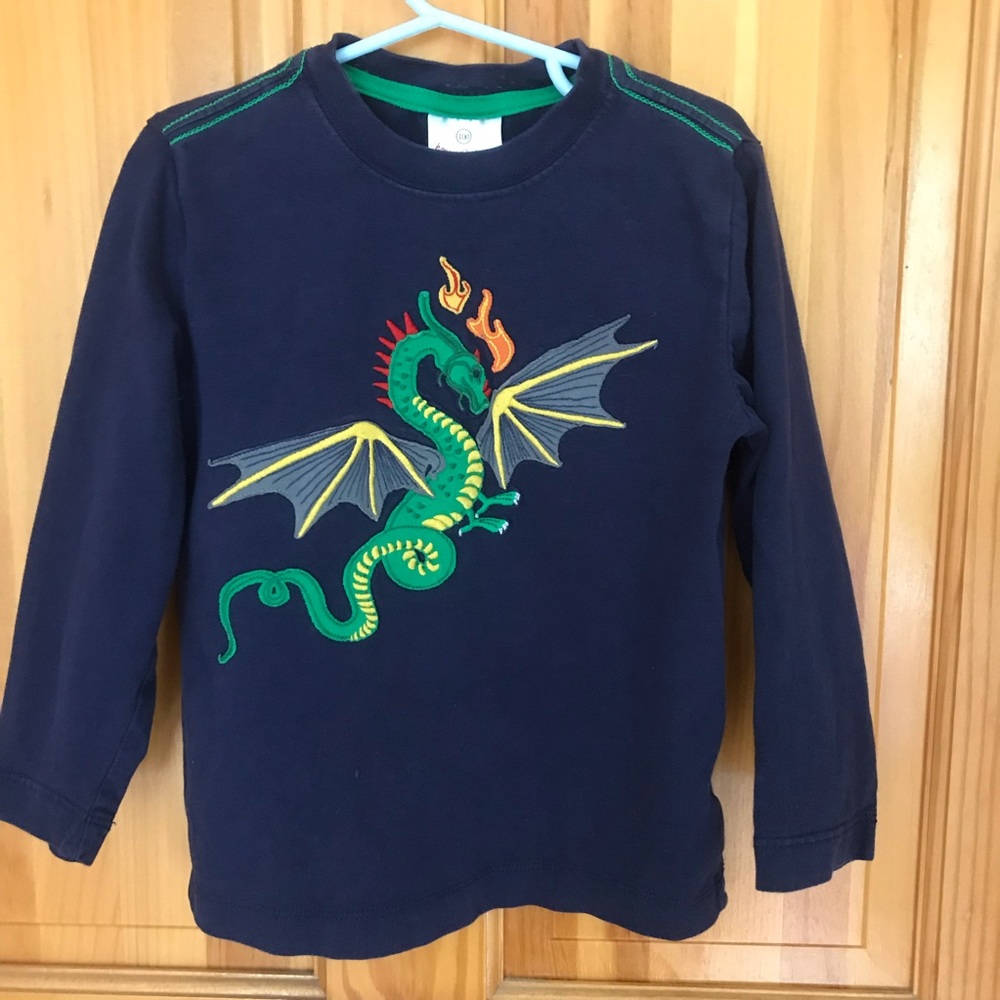 Toddler boys Hanna Andersson shirt bundle